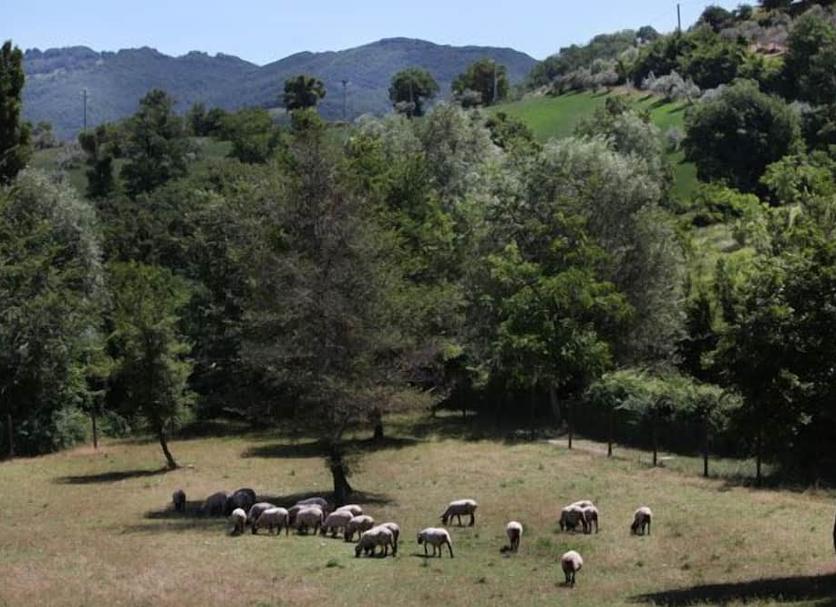 Pemandangan luar Foto