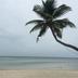 Pantai