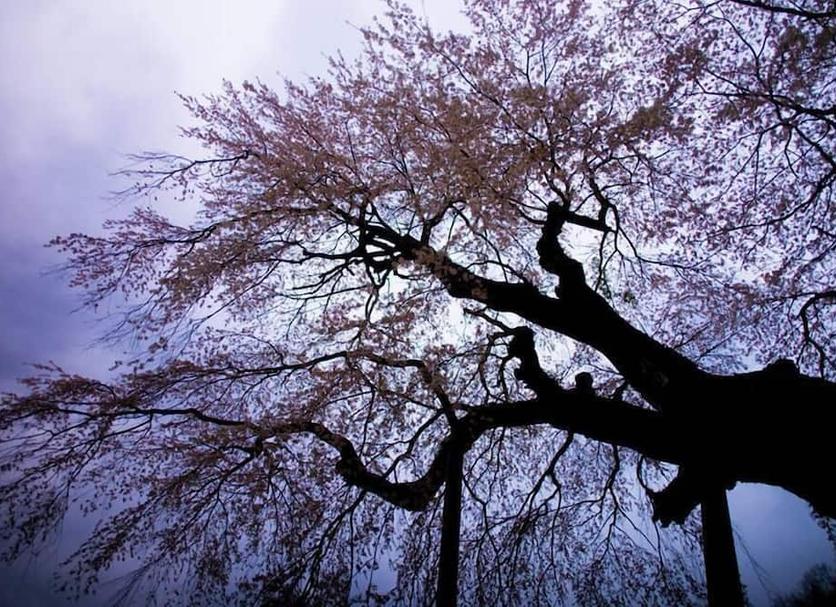 Pemandangan luar Foto