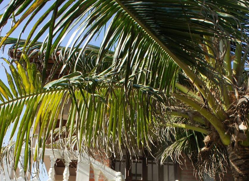 Pemandangan luar Foto