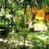 Pemandangan luar
