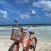 Pantai