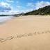 Pantai