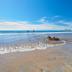 Pantai
