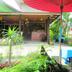 Pemandangan luar