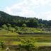 Pemandangan luar