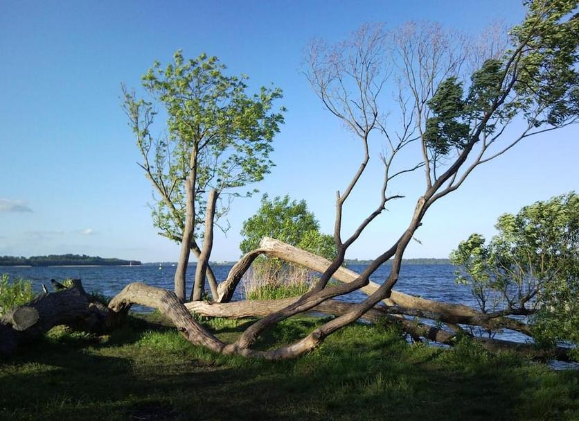 Pemandangan luar Foto