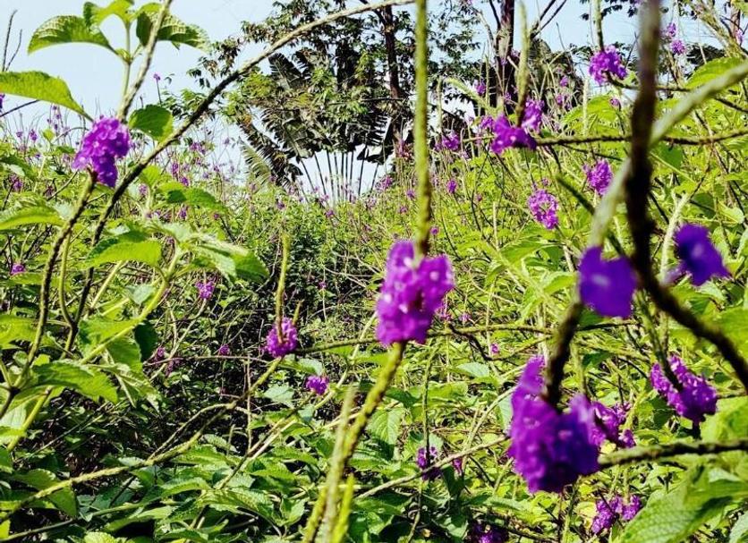 Pemandangan luar Foto