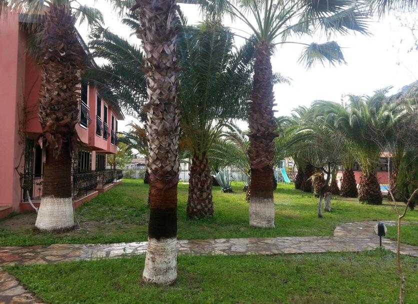Pemandangan luar Foto