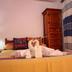 Kamar Tidur