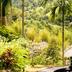 Pemandangan luar