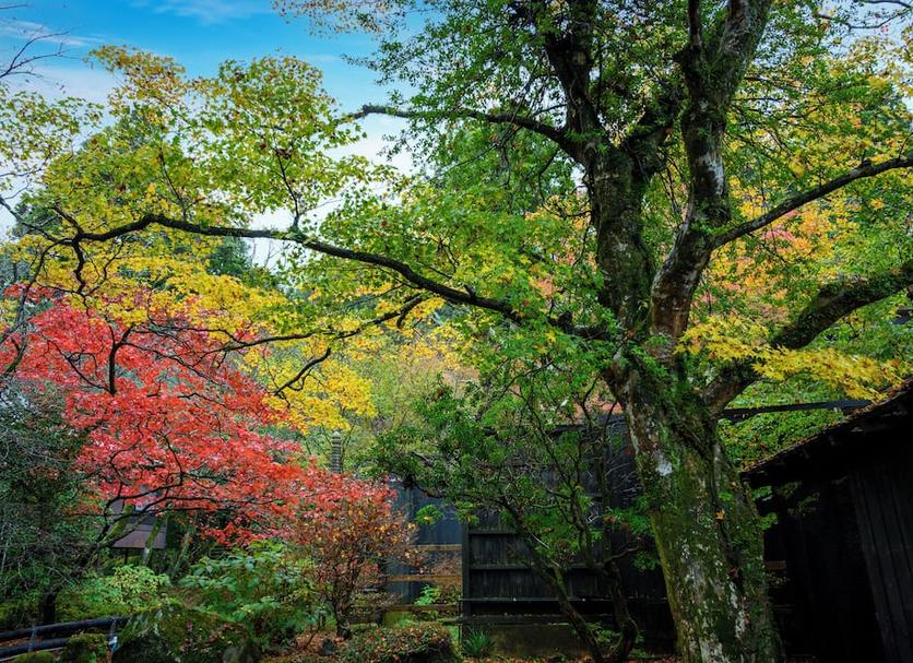 Pemandangan luar Foto