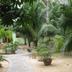 Pemandangan luar