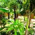 Pemandangan luar
