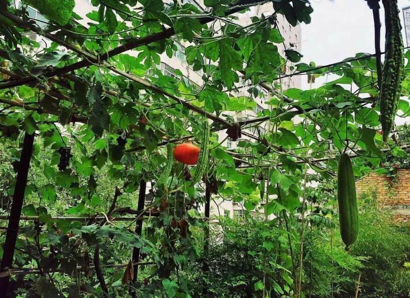 Pemandangan luar Foto