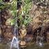 Pemandangan luar
