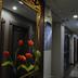Lorong