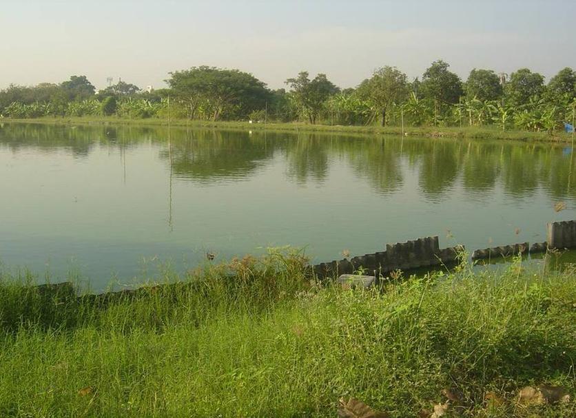 Pemandangan luar Foto