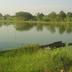 Pemandangan luar