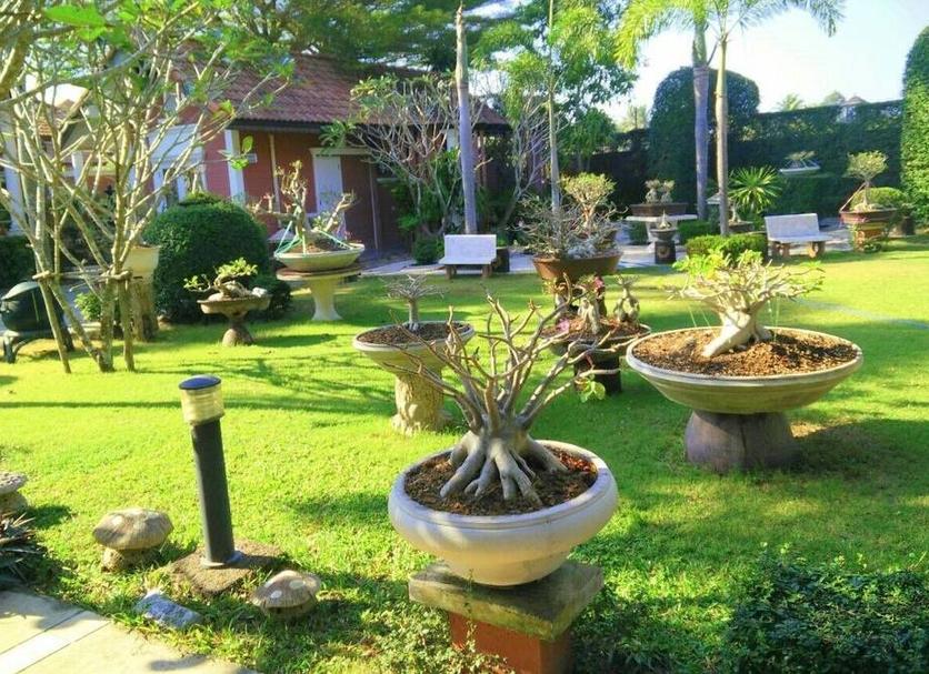 Pemandangan luar Foto