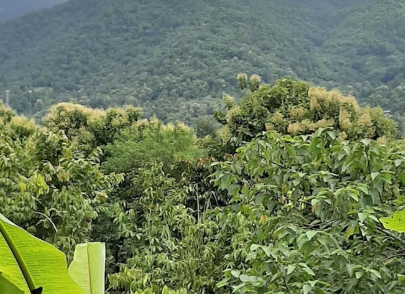 Pemandangan luar Foto