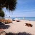 Pantai