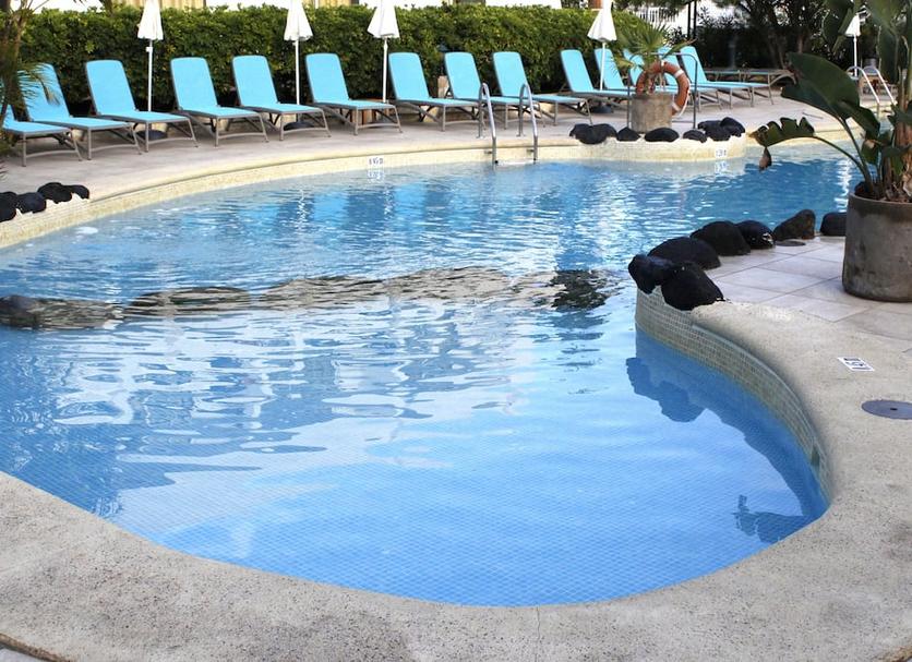Kolam Foto