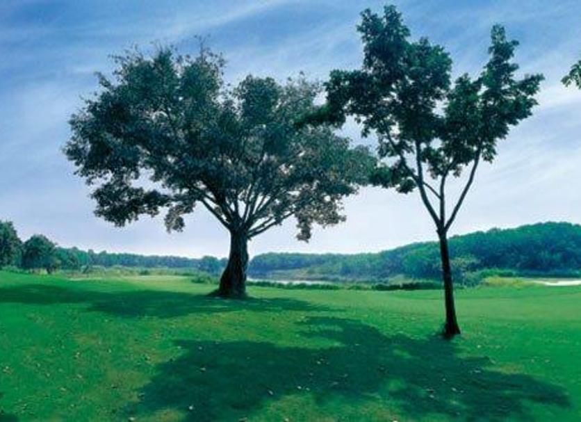 Pemandangan luar Foto