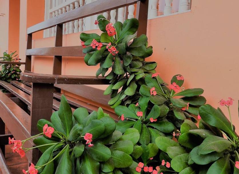 Pemandangan luar Foto