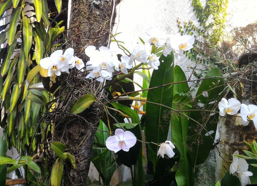 Pemandangan luar Foto