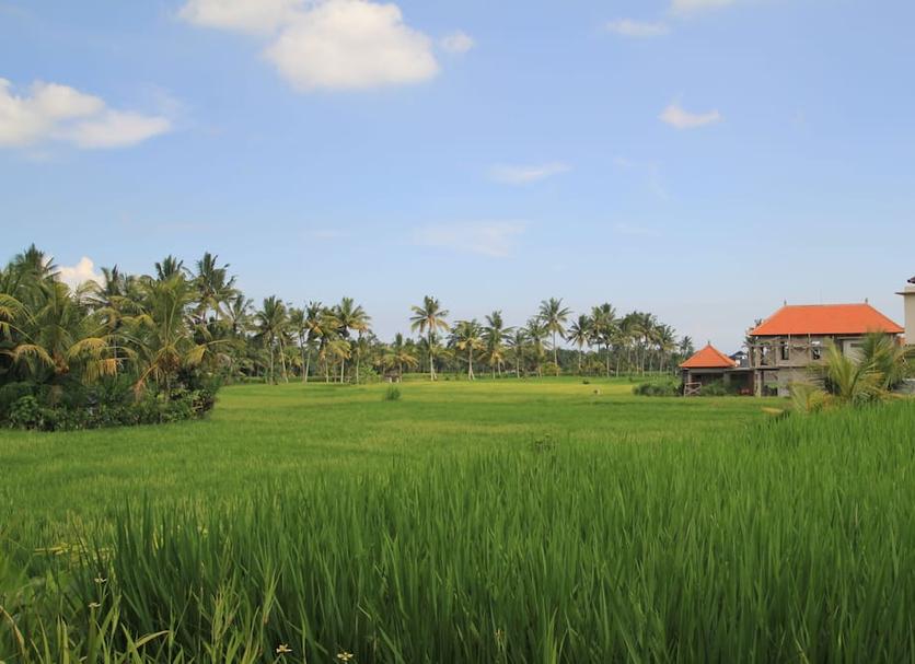 Pemandangan luar Foto