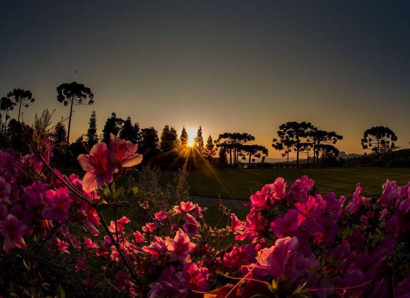 Pemandangan luar Foto