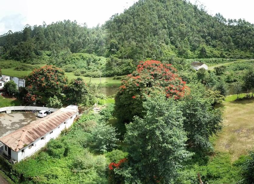 Pemandangan luar Foto