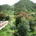 Pemandangan luar