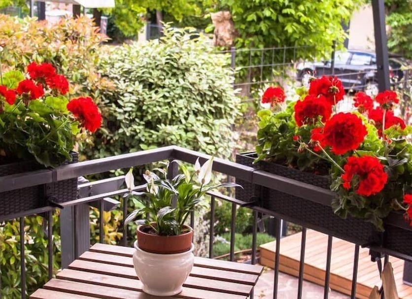 Balkon Foto