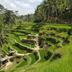 Pemandangan luar