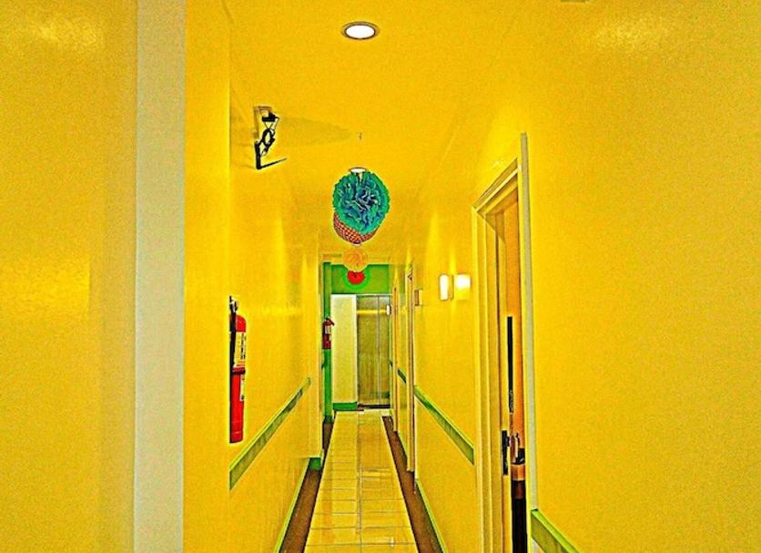 Lorong Foto
