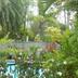Pemandangan luar