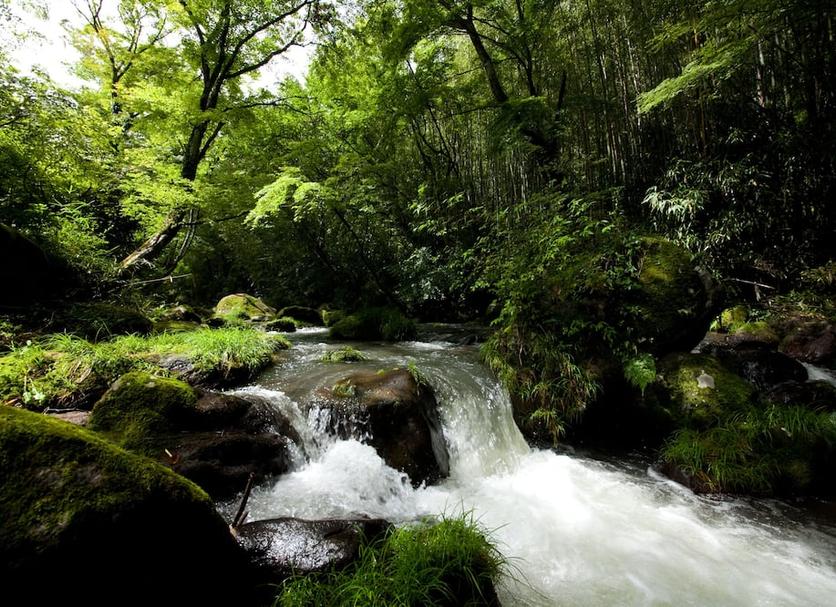 Pemandangan luar Foto