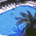 Kolam