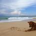 Pantai