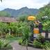 Pemandangan luar