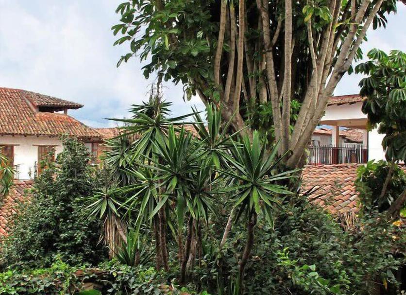 Pemandangan luar Foto