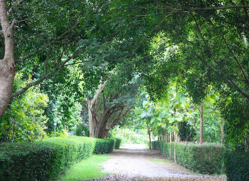 Pemandangan luar Foto