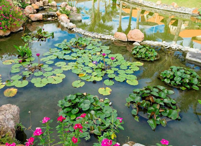 Pemandangan luar Foto