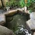 Pemandangan luar