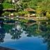 Kolam