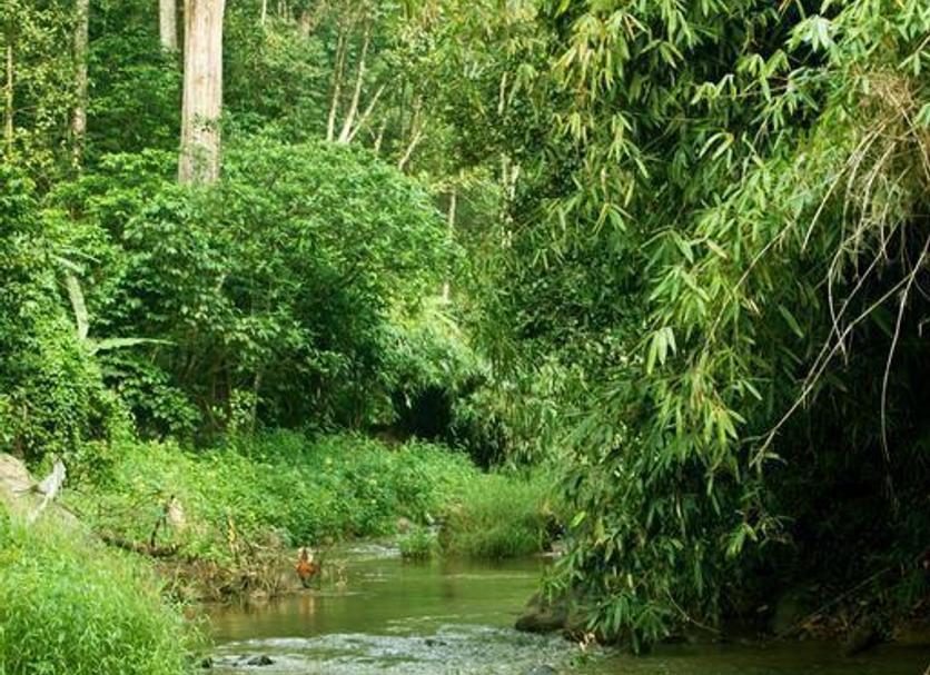 Pemandangan luar Foto