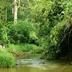 Pemandangan luar