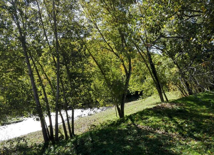 Pemandangan luar Foto
